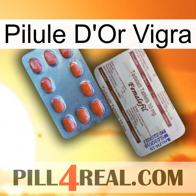Vigra Gold Pill 36
